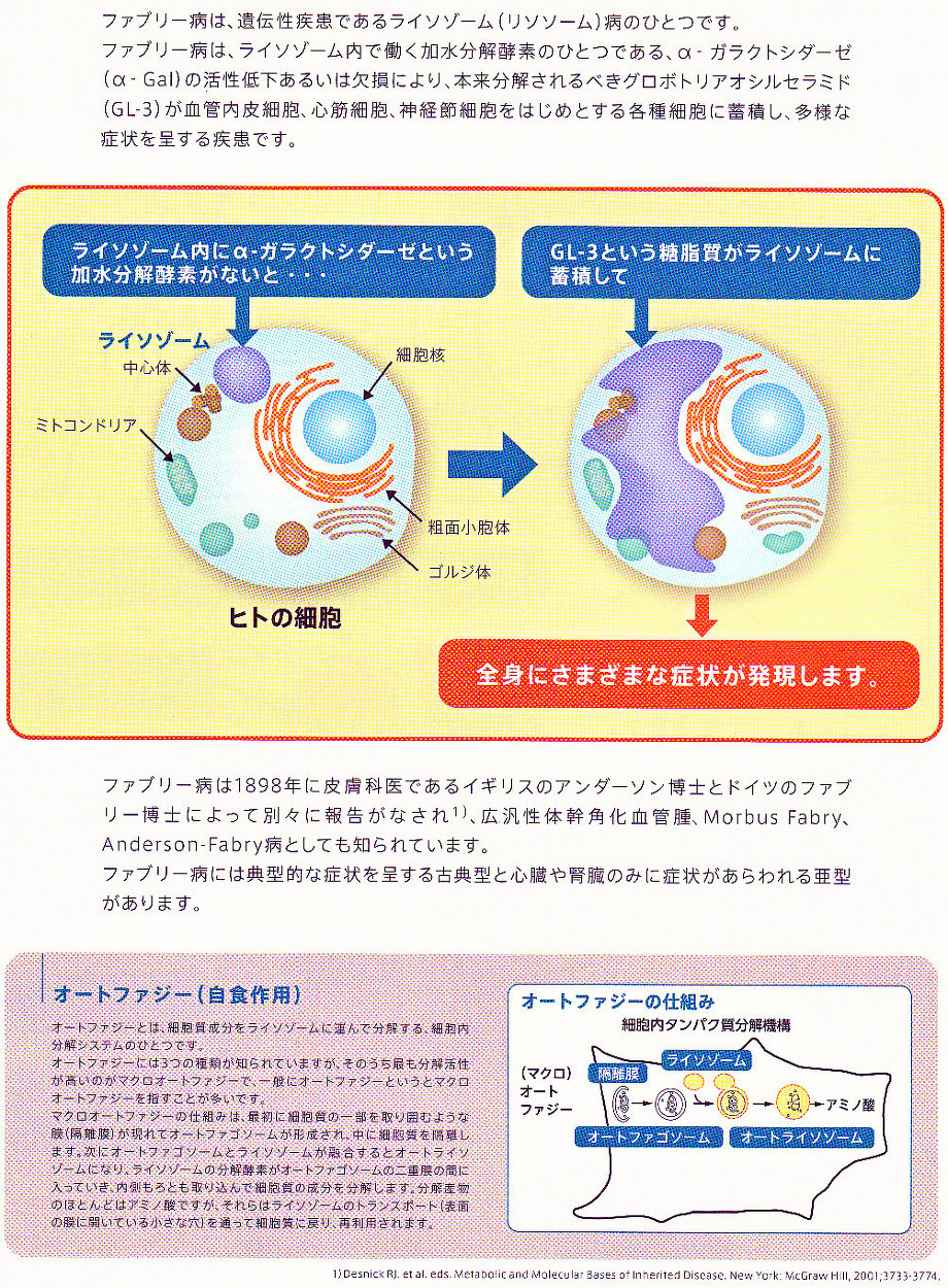 Fabry病と脳血管障害 今関良子先生 | 川村内科診療所様